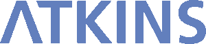 Atkins Process logo