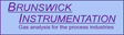 Brunswick Instrumentation Ltd logo