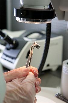 Correct handling of bearings maximises operating life