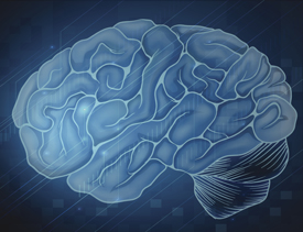 NEW BRAIN MECHANISM STUDY COULD ADVANCE ARTIFICIAL INTELLIGENCE