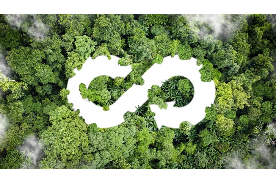 Depressing reality should be a catalyst for change - Ecoveritas