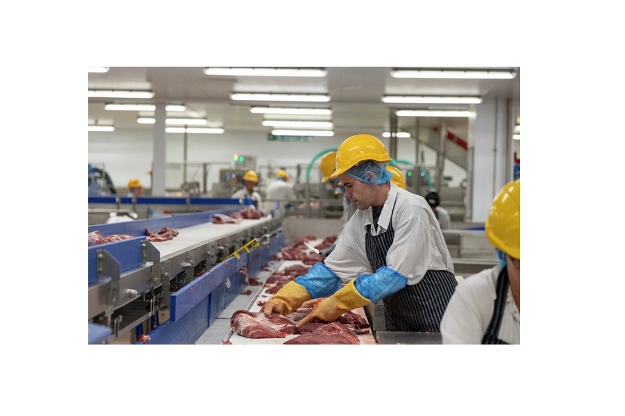 Collaborative thermal imaging project enhances fire safety at meat plant
