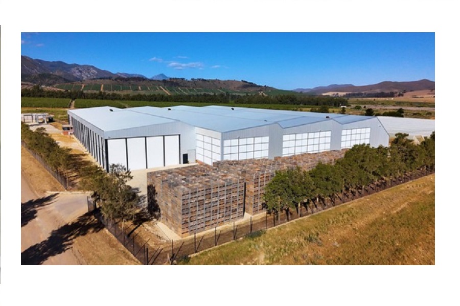 GEA helps Betko extend fruit storage to 14 months while cutting peak power demand by 20 percent
