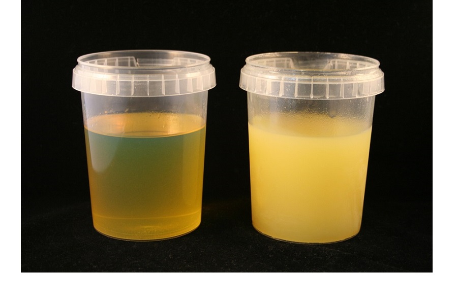 How to avoid thermal oil freezing