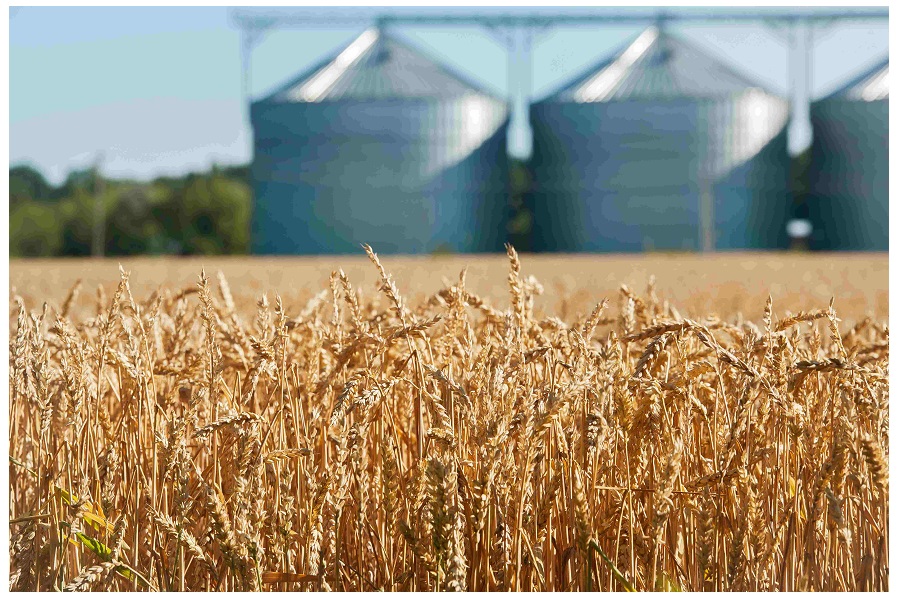 Meeting the surge in demand for grain-based foods  
