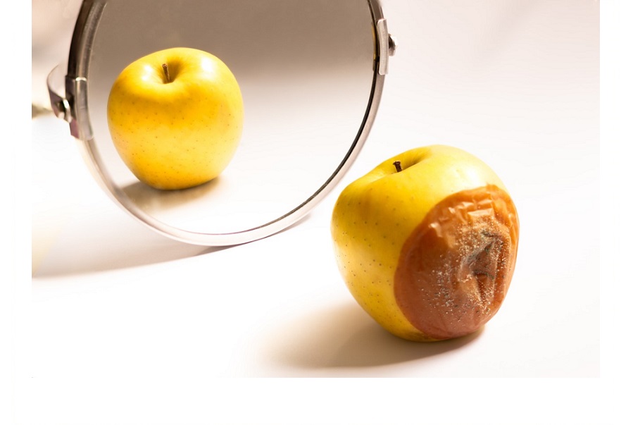 Counterfeit Products:  Protecting Your Business