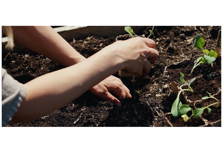 Mitsubishi Electric Europe - EMEA, Automation helps reduce Food Waste in Radisson Blu Scandinavia by up to almost 100%