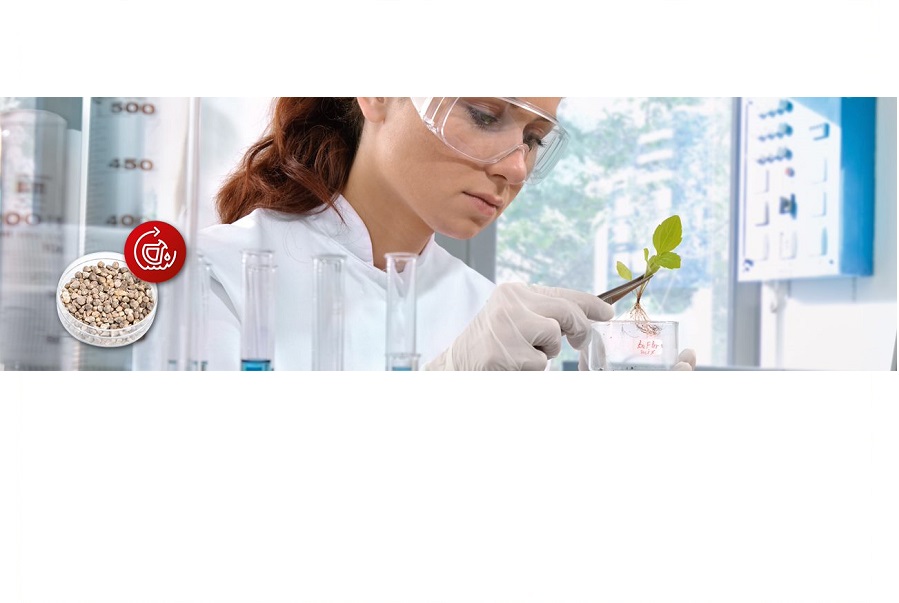 AW Measurement in Handling of Seeds