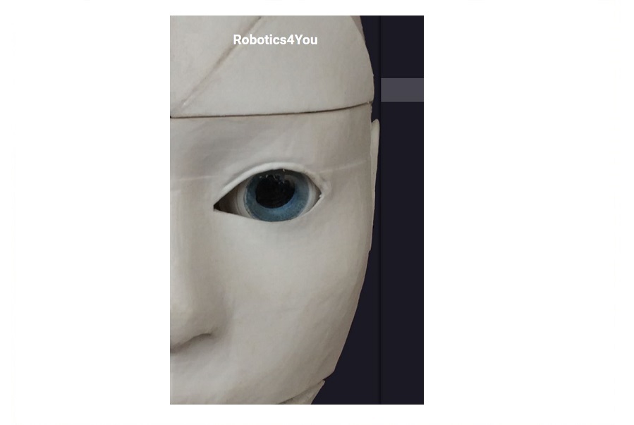 European Project releases surveys aimed at the Robotics community