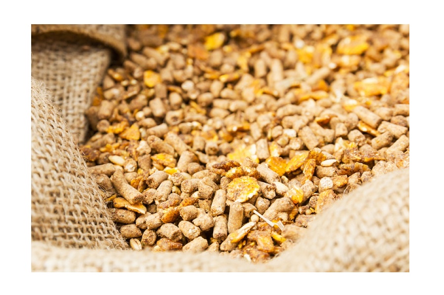 Automating agricultural processes for efficient operation